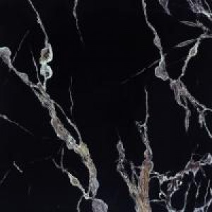 Gạch Trường Thịnh MARBLE STONE RGC80208K